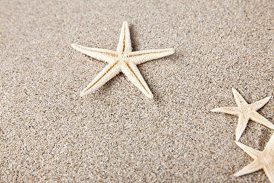 世嘉新作《404 GAME RE:SET》公开新人物介绍 2023年春上线